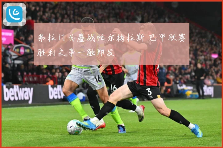弗拉门戈鏖战帕尔梅拉斯 巴甲联赛胜利之争一触即发