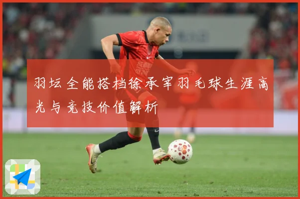 羽坛全能搭档徐承宰羽毛球生涯高光与竞技价值解析