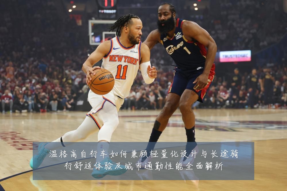 温格高自行车如何兼顾轻量化设计与长途骑行舒适体验及城市通勤性能全面解析