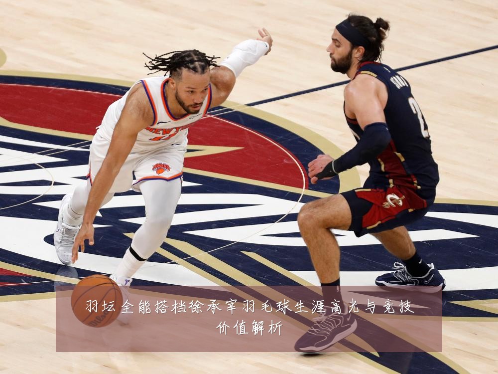 羽坛全能搭档徐承宰羽毛球生涯高光与竞技价值解析