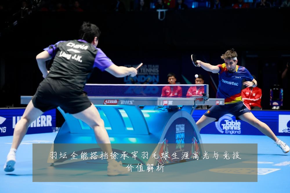 羽坛全能搭档徐承宰羽毛球生涯高光与竞技价值解析